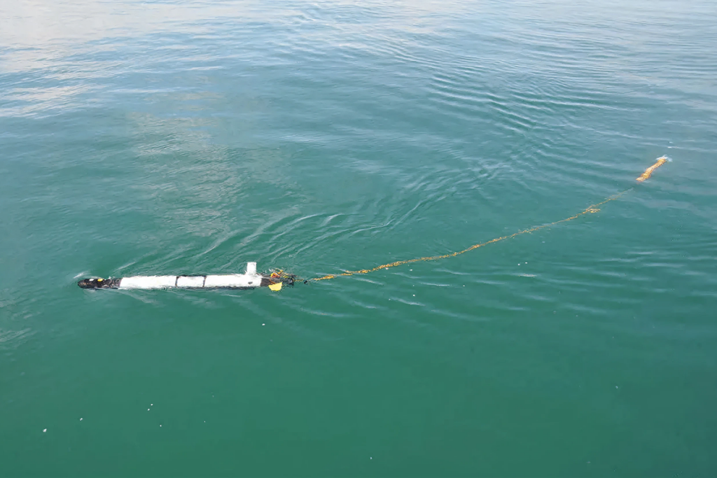 High Resolution Magnetics in Marine Exploration