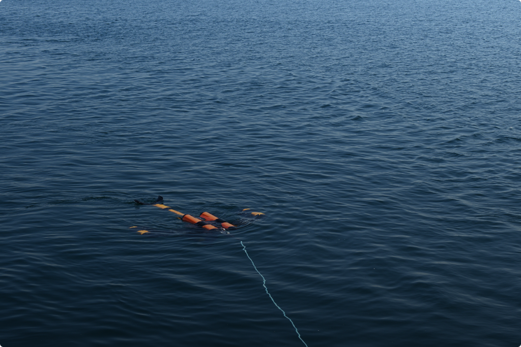Mapping Marine Ferrous Targets Using the SeaQuest Gradiometer System